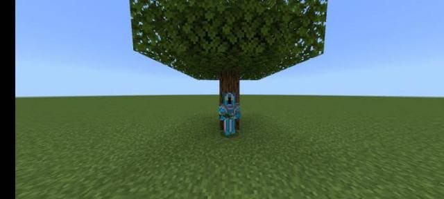 Выросшее дерево в игре