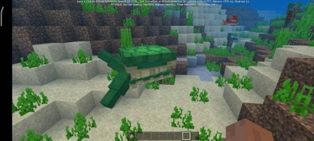Черепаха-воин плывет в воде