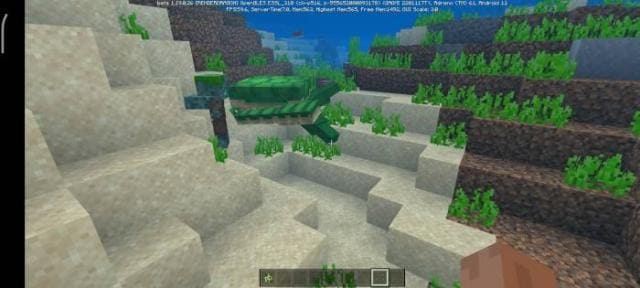 Черепаха-воин плывет в воде 2
