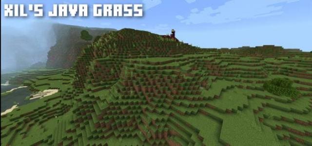 Новая трава в зеленых лугах