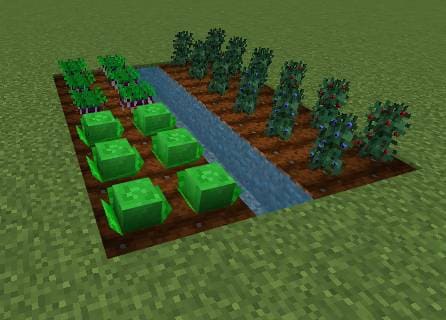 Игрок выращивает новые овощи