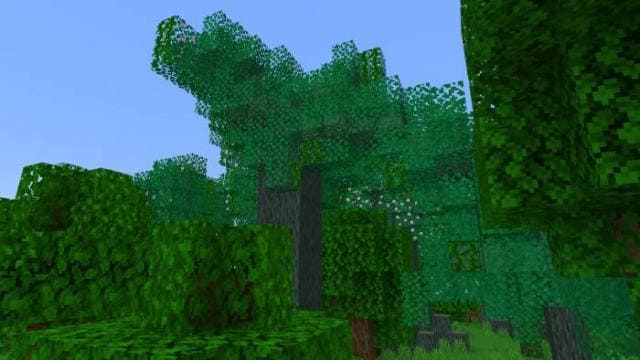 Дерево зеленого сердца