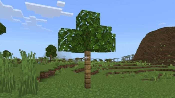 Новый вариант деревьев 2