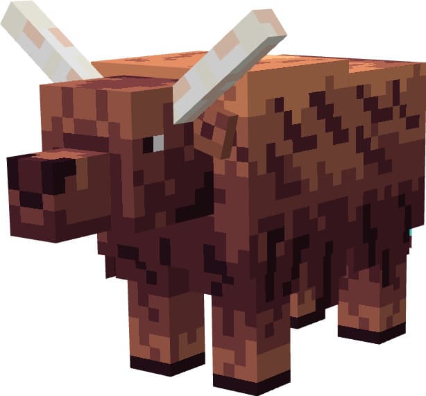 Як