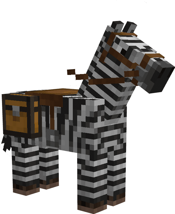 Зебра с Сундуком на спине